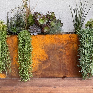 May include: A rectangular, weathered metal planter box filled with a variety of succulents and trailing plants. The box has a rusty orange and brown patina. The plants include green, purple, and gray-green succulents, and long, cascading string-of-pearls plants.