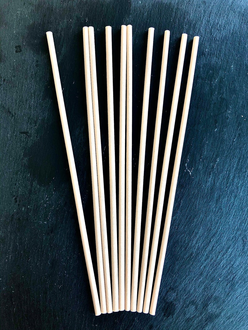 Fibre Reed Diffuser Sticks 10 20 or 50 20cm x 4mm Etsy