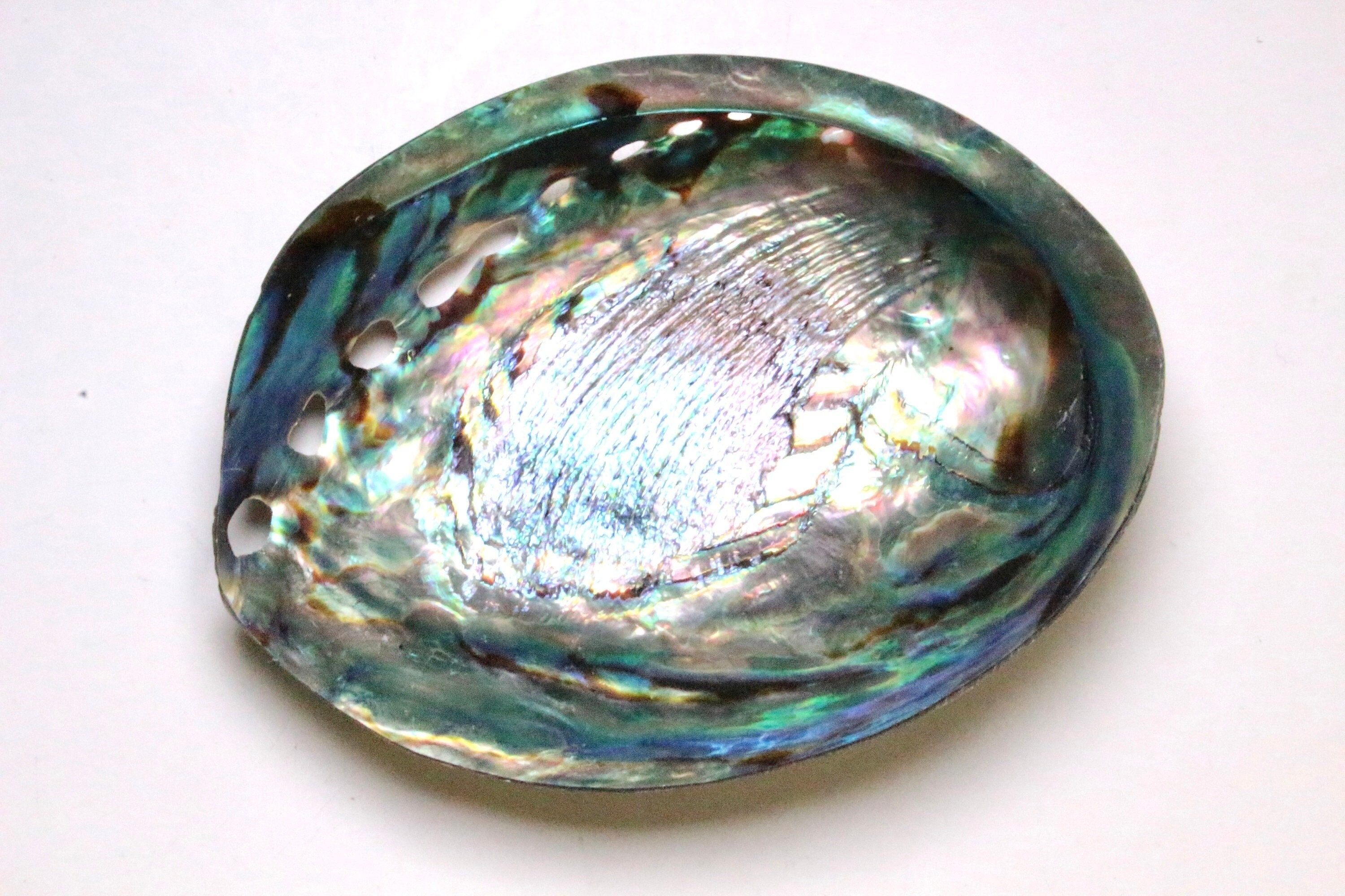 Coquille d'ormeau 12x14 cm et Encens divers pas Cher chez Mandala