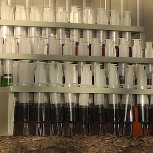 Jello Shot Syringe/Shot Stand SVG