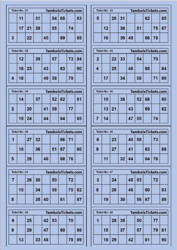 Ameisenkeks Bloc 600 Tickets Bingo – Système 15/90 Orange, Perforés, Idéal Soirées Amusantes Bingo Soirée Amusante