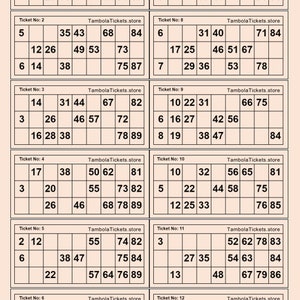 Tambola ticket | 185 Pages | 12 tickets per page | 2100+ unique tickets| Housie Ticket | Bingo Ticket  | 90 ball bingo |Printable PDF | Pink