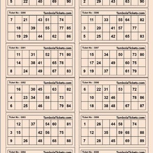 Tambola ticket |6000 unique tickets | 500 Pages | 12 tickets per page |Bingo Ticket | Printable PDF| Set 1 | 90 balls bingo | Pink