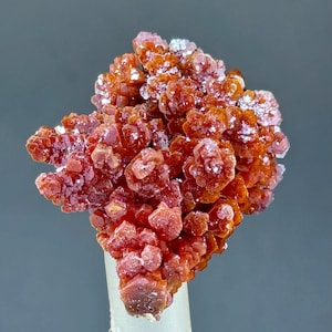 Vanadinite plume crystal form in Perfect Conditions#19#