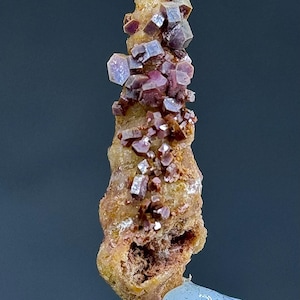 Rara combinazione di Vanadinite con gasteropode (lumaca fossilizzata) su matrice in perfette condizioni#265#