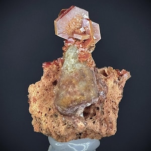 Rara combinazione di Vanadinite con gasteropode (lumaca fossilizzata) su matrice in perfette condizioni#264#