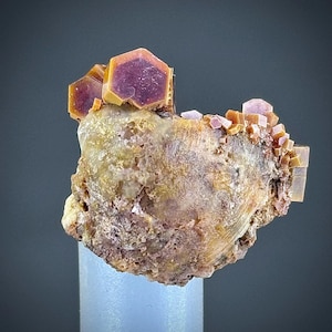 Rara combinazione di vanadinite con fossile di conchiglia in perfette condizioni#267#