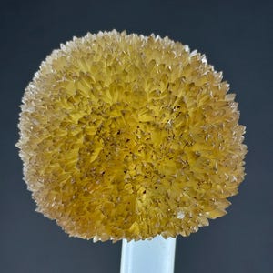 Calcite in Perfect Conditions #428#
