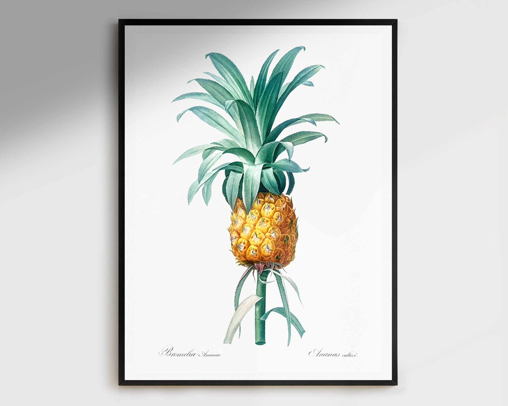 Ananas Etsy Poster -