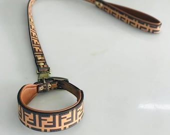 fendi collar dog