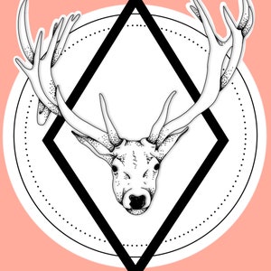 Adesivo Buck