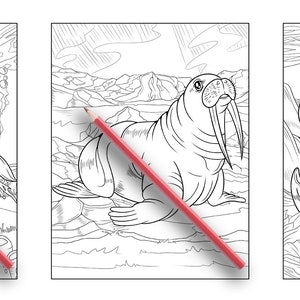 May include: A coloring book page featuring three different sea creatures: a whale, a walrus, and a crab. The page is black and white and has a red pencil lying on top of it.