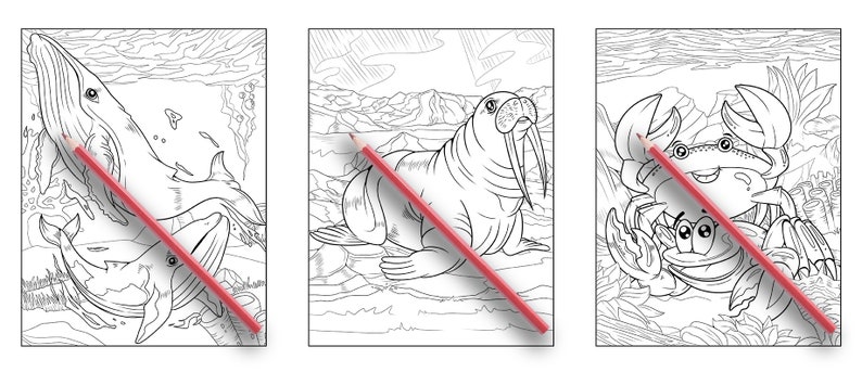 May include: A coloring book page featuring three different sea creatures: a whale, a walrus, and a crab. The page is black and white and has a red pencil lying on top of it.
