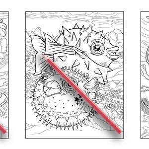 May include: A coloring book page featuring three underwater creatures: a lobster, a pufferfish, and a manta ray. The creatures are outlined in black and white, ready to be colored in.