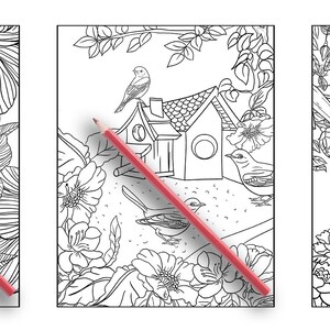 May include: Three colouring book pages featuring detailed line drawings of birds, flowers, and a birdhouse. A red pencil is placed on top of each page.