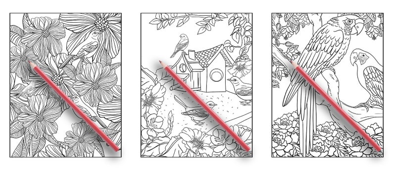 May include: Three colouring book pages featuring detailed line drawings of birds, flowers, and a birdhouse. A red pencil is placed on top of each page.