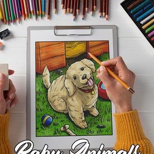 May include: A colouring page featuring a cartoon illustration of a golden retriever puppy sitting in a grassy yard. The puppy is wearing a red collar and has a playful expression. The page is titled "Baby Animals".