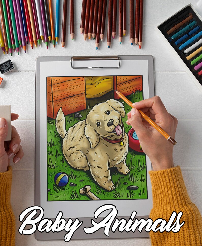 May include: A colouring page featuring a cartoon illustration of a golden retriever puppy sitting in a grassy yard. The puppy is wearing a red collar and has a playful expression. The page is titled "Baby Animals".
