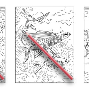 May include: Three black and white coloring pages featuring underwater sea life. The first page shows a hammerhead shark and a smaller shark. The second page shows a flying fish and a smaller fish. The third page shows a sea turtle and a smaller turtle.
