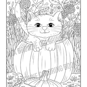 May include: A black and white line drawing of a cat sitting inside a pumpkin. The cat is smiling and has large eyes. The pumpkin is surrounded by leaves and flowers.