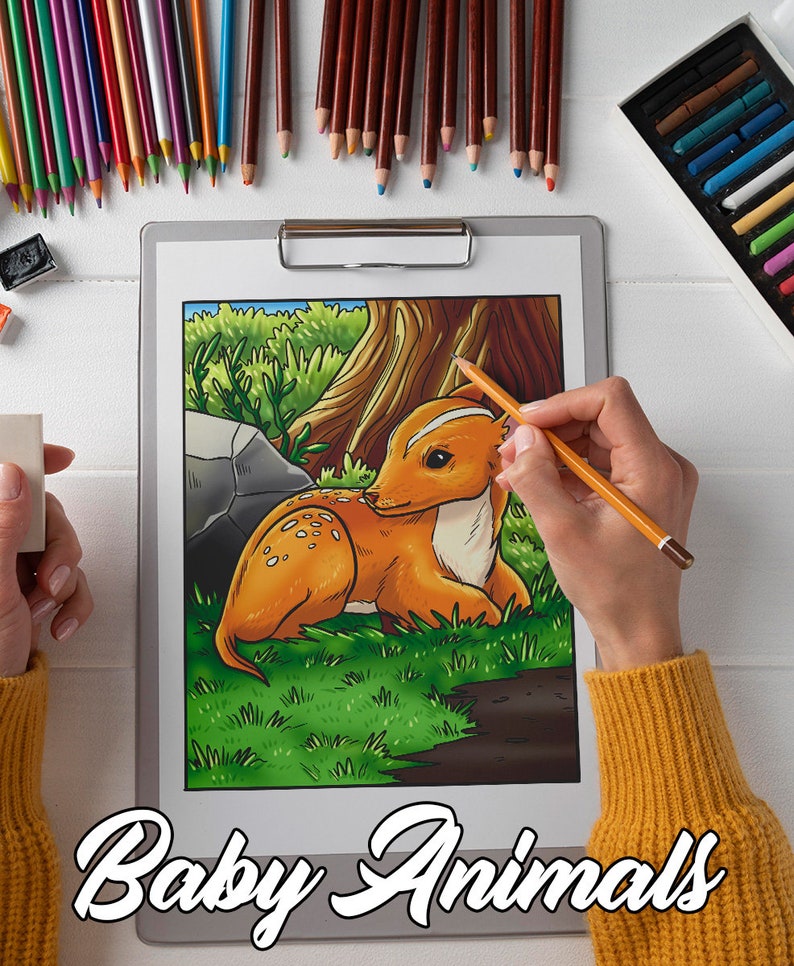May include: A person is colouring a drawing of a baby deer in a woodland setting. The drawing is on a white sheet of paper on a clipboard. The person is using a yellow coloured pencil. The drawing is titled "Baby Animals".