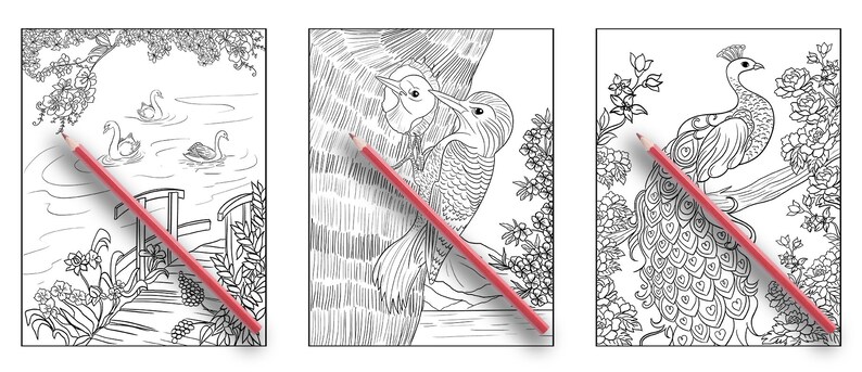 May include: Three black and white colouring pages featuring detailed illustrations of a swan on a lake, a pair of woodpeckers in a tree, and a peacock with its tail feathers spread.