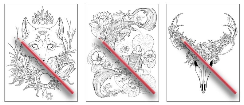 以下が含まれることがあります： 線画で描かれた白黒の塗り絵3枚。最初のページは、額に三日月と太陽のデザインが施されたキツネが描かれている。2枚目は、スイレンのある池で泳ぐ2匹の魚が描かれている。3枚目は、枝角に花が飾られた鹿の頭蓋骨が描かれている。