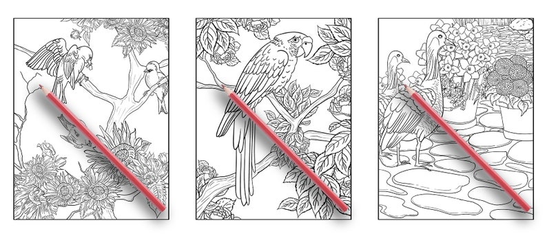 May include: Three black and white colouring pages featuring birds and flowers. The first page shows two birds perched on a branch with flowers and leaves. The second page shows a parrot perched on a branch with flowers and leaves. The third page shows two birds standing in a pond with flowers and leaves.
