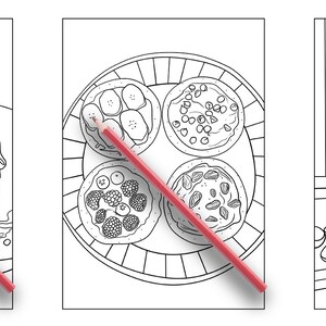 May include: A coloring page featuring three different desserts: a slice of chocolate cake with nuts, a plate of mini pizzas with various toppings, and a tall glass of ice cream with cookies and whipped cream.