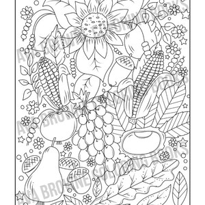 May include: A black and white line drawing of a fall harvest scene with a sunflower, corn, grapes, a pear, acorns, and leaves.