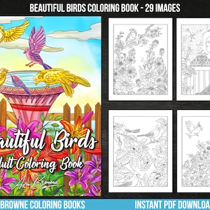 May include: A colouring book featuring 29 images of beautiful birds. The cover shows a colourful bird perched on a bird bath surrounded by flowers. The title of the book is "Beautiful Birds Adult Colouring Book" with the author's name, Ava Browne, written below.