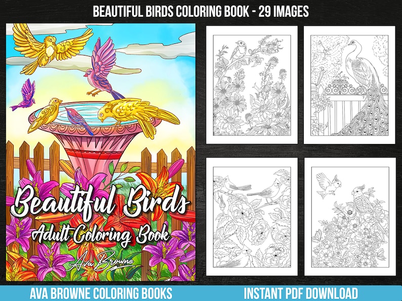 May include: A colouring book featuring 29 images of beautiful birds. The cover shows a colourful bird perched on a bird bath surrounded by flowers. The title of the book is "Beautiful Birds Adult Colouring Book" with the author's name, Ava Browne, written below.