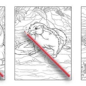 May include: A coloring book page featuring three different animals: a manatee, an otter, and a seal. The animals are drawn in black and white and are ready to be colored in.