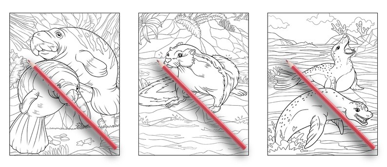 May include: A coloring book page featuring three different animals: a manatee, an otter, and a seal. The animals are drawn in black and white and are ready to be colored in.
