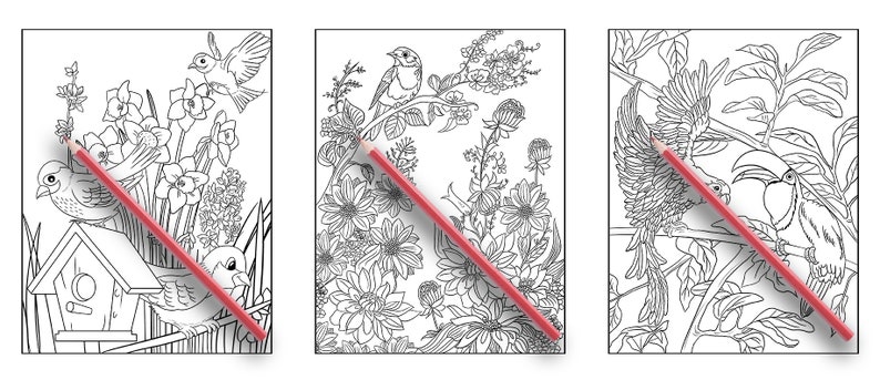 May include: Three black and white colouring pages featuring birds and flowers. The first page shows a birdhouse with a bird perched on the edge. The second page shows a bird perched on a branch with flowers and leaves. The third page shows two birds perched on a branch with leaves.