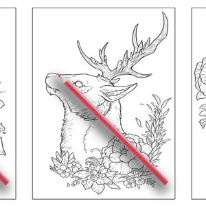以下が含まれることがあります： ネズミ、鹿、キツネの3つの白黒の塗り絵。それぞれの動物は花柄で囲まれています。