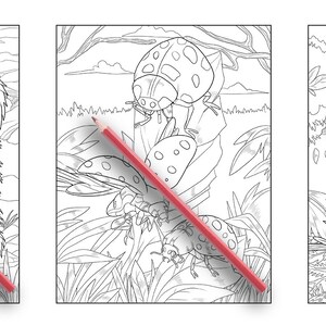 Ava Browne Coloring Books | Forest Animals Coloring Book, Adult Coloring Book Gift For Women, Teens, Girls. Wolves, Bears, Deer PDF DOWNLOAD image 4
