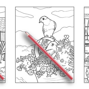 Puede incluir: Tres p&aacute;ginas de libro para colorear en blanco y negro. La primera p&aacute;gina muestra una casa con un porche y una silla. La segunda p&aacute;gina muestra dos p&aacute;jaros posados en una rama con flores. La tercera p&aacute;gina muestra una puerta con vista a un jard&iacute;n.