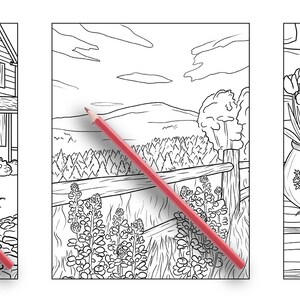 Puede incluir: Tres p&aacute;ginas para colorear en blanco y negro que representan una casa con un jard&iacute;n, un paisaje con una valla y flores, y un bodeg&oacute;n de flores en macetas.