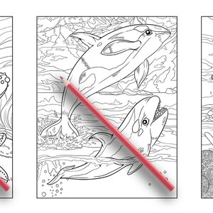 May include: Three black and white coloring pages featuring underwater scenes. The first page shows a starfish with a smiling face. The second page shows two dolphins swimming. The third page shows two orcas swimming.