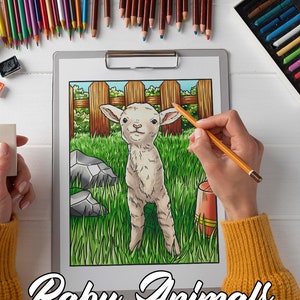 May include: A colouring page of a baby lamb standing in a grassy field with a wooden fence in the background. The page is titled "Baby Animals".