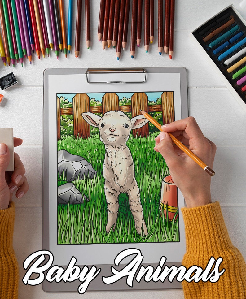 May include: A colouring page of a baby lamb standing in a grassy field with a wooden fence in the background. The page is titled "Baby Animals".