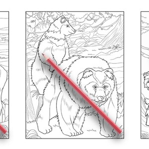 Ava Browne Coloring Books | Forest Animals Coloring Book, Adult Coloring Book Gift For Women, Teens, Girls. Wolves, Bears, Deer PDF DOWNLOAD image 3