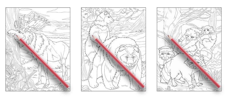 Ava Browne Coloring Books | Forest Animals Coloring Book, Adult Coloring Book Gift For Women, Teens, Girls. Wolves, Bears, Deer PDF DOWNLOAD image 3