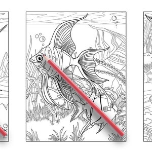 May include: Three black and white line drawings of fish in an underwater setting. The first image shows a sailfish, the second image shows an angelfish, and the third image shows two swordfish.