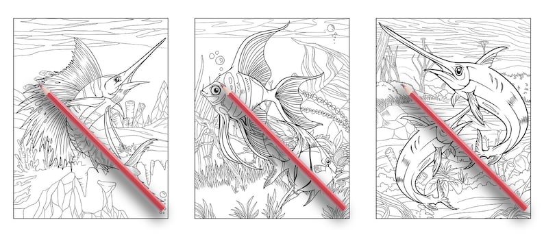 May include: Three black and white line drawings of fish in an underwater setting. The first image shows a sailfish, the second image shows an angelfish, and the third image shows two swordfish.