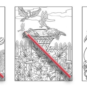 May include: Three colouring book pages featuring intricate line drawings of birds, flowers, and a swan. Each page has a red pencil lying on top of it.
