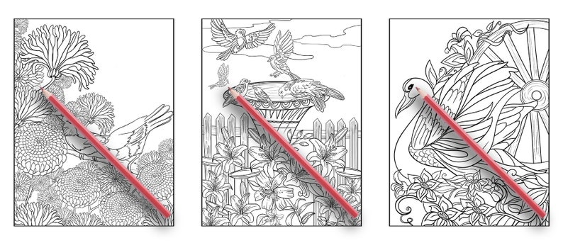May include: Three colouring book pages featuring intricate line drawings of birds, flowers, and a swan. Each page has a red pencil lying on top of it.