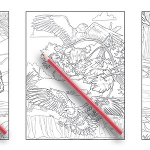 Ava Browne Coloring Books | Forest Animals Coloring Book, Adult Coloring Book Gift For Women, Teens, Girls. Wolves, Bears, Deer PDF DOWNLOAD image 2
