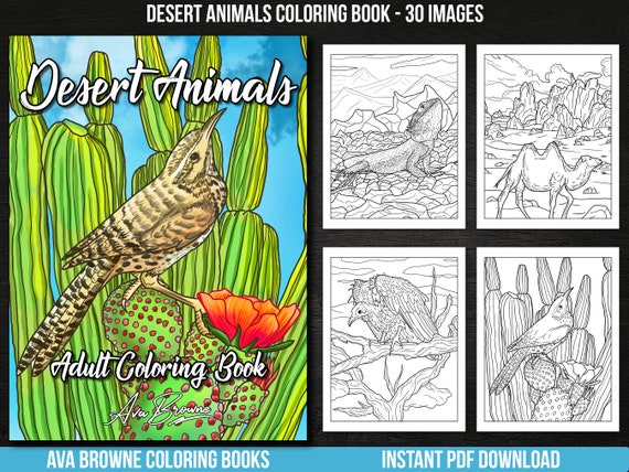   Desert Animal Coloring Pages  Best Free